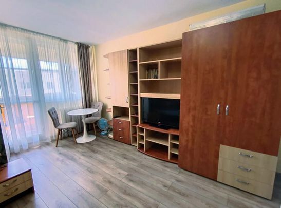 Garsoniera Iancului- Elev Stefanescu - Fotografie 1