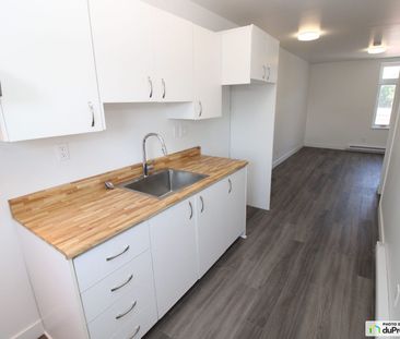 3 1/2-596, rue Kirouac, Saint-Sauveur à louer - Photo 1