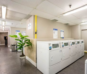 Davisville Village Apartments - Photo 4