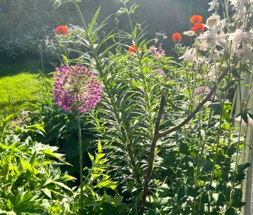 Vesslevägen, Bromma - Photo 5