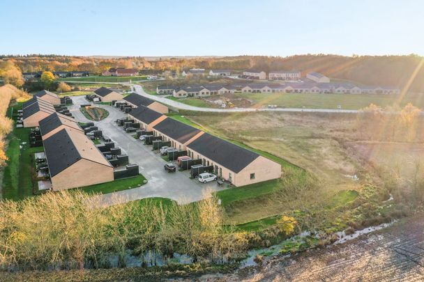 Moderne 2-værelses rækkehus til leje i Silkeborg - Photo 1