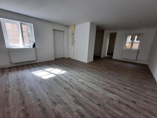 A LOUER T3 82m2 GRENOBLE ST LAURENT - Photo 1