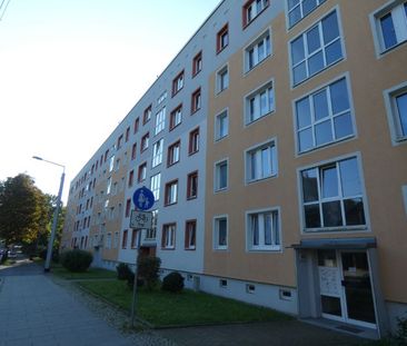 Schicke 3-Raum-Wohnung im Grünen sucht eine Familie! - Photo 4