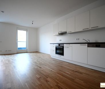 Dachgeschoss in absoluter Ruhelage - 2 Zimmer Wohnung inkl. EWE Ein... - Photo 2