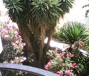 Ενοικίαση κατοικίας, 40 τ.μ., Ακταίο, 145 € - Photo 1