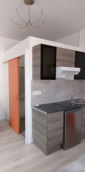 Location Appartement 1 pièce 18m² - Photo 1