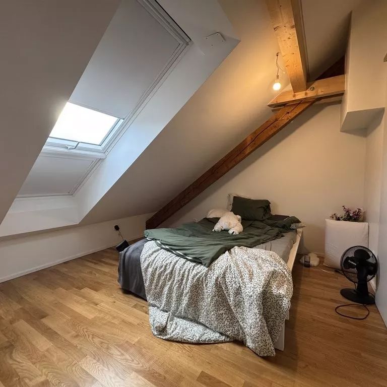Bel appartement de 3 pièces dans les combles avec poutres apparentes - Photo 1