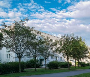 Helles Zuhause mit gemütlichem Balkon in Detmerode - Photo 5