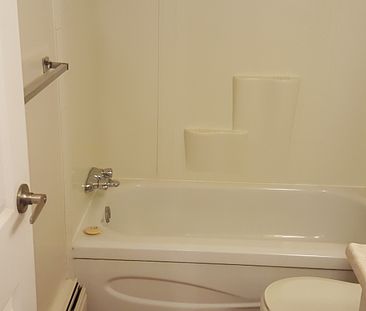 1 Bedroom Condo For Rent In Blue Quill: Cat Friendly - Photo 6