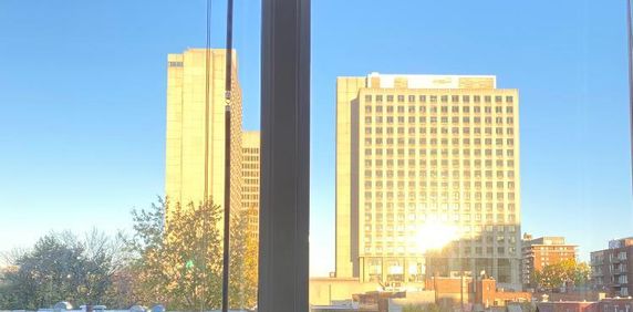 Grand / Big “ 4 1/2 “ au centre ville/ in downtown - Photo 2