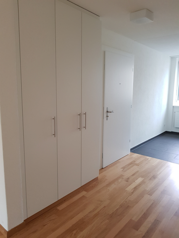 4.5 Zimmer-Wohnung nahe Erholungsgebiet zu vermieten - Photo 5