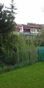 Location Appartement 47.01 M² BUSCHWILLER 620 € - Photo 4