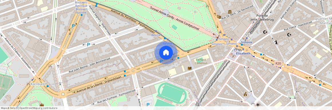Avenue de la Liberté 8, 1081 Koekelberg (Koekelberg)