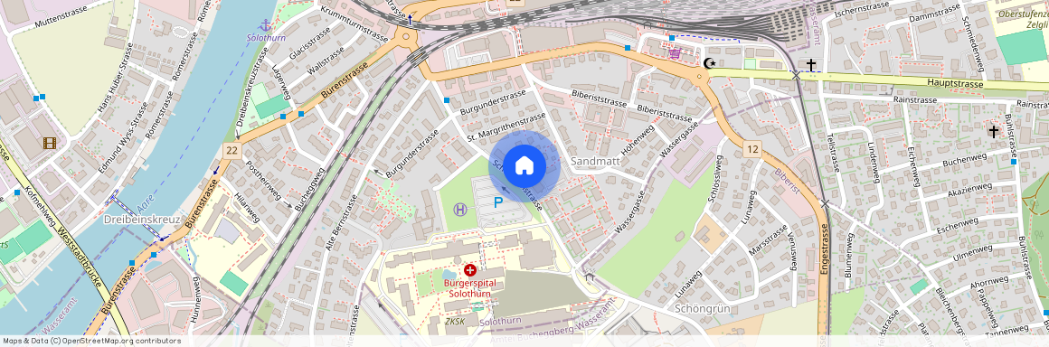 4500, Solothurn, Schöngrünstrasse, 33