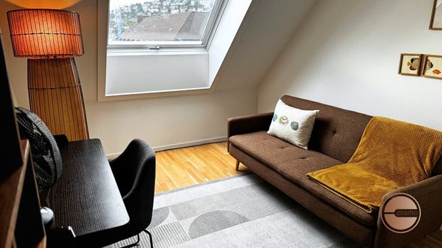 LA VIE URBAINE AU-DESSUS DES TOITS DE ZURICH-OUEST - Foto 1