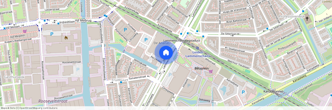 Cronestein, 2321 HZ, Mangoweg, Leiden