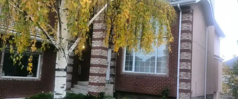 LEGAL SUITE 1600 sqft 3-BDRMs walkout new renovated ONLY $1600 | Calgary - Photo 1