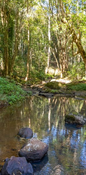 Goonengerry, NSW 2482 - Photo 2