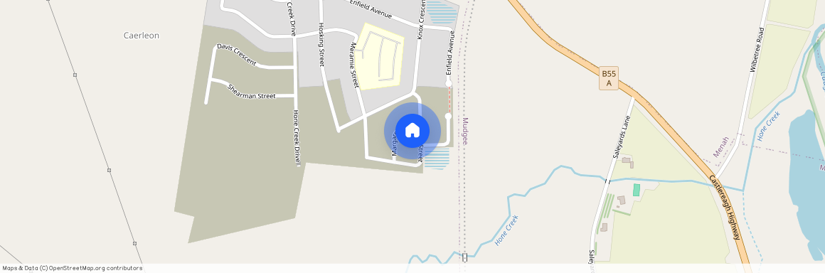 8 Moore Street, NSW 2850, Caerleon