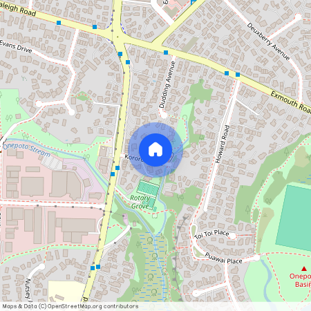 12A Kororo Street, Northcote, NZ 0627