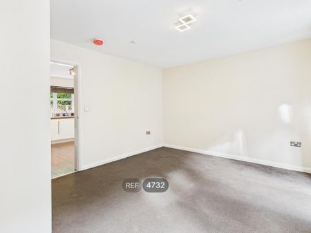 3 bedroom terraced house to rent - Photo 3