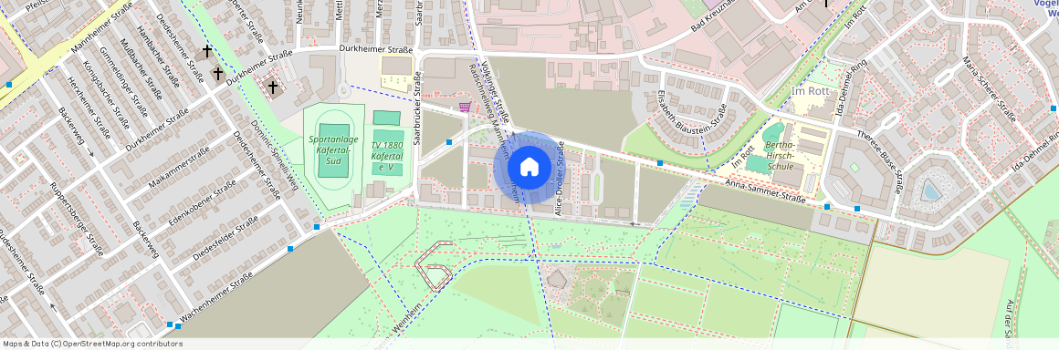 Völklinger Straße 35, 68309, Mannheim