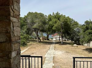Μονοκατοικία για ενοικίαση - Μαρκόπουλο, - Φωτογραφία 4