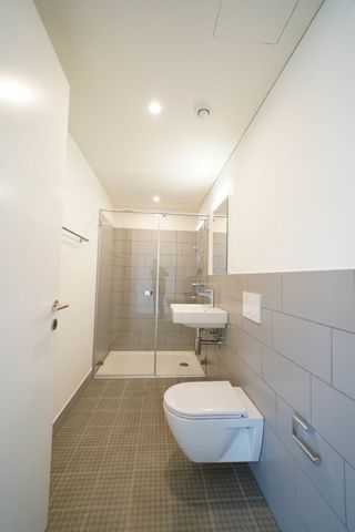 Modernes Wohnen im Zentrum von Inwil - Foto 2