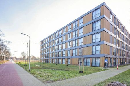 Appartement Ringbaan-Zuid 496-79, Tilburg - À Louer - Photo 5