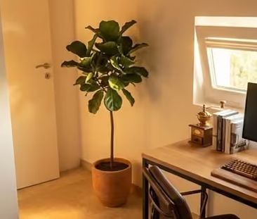 3.5 Zimmer, 70 m² - Foto 5