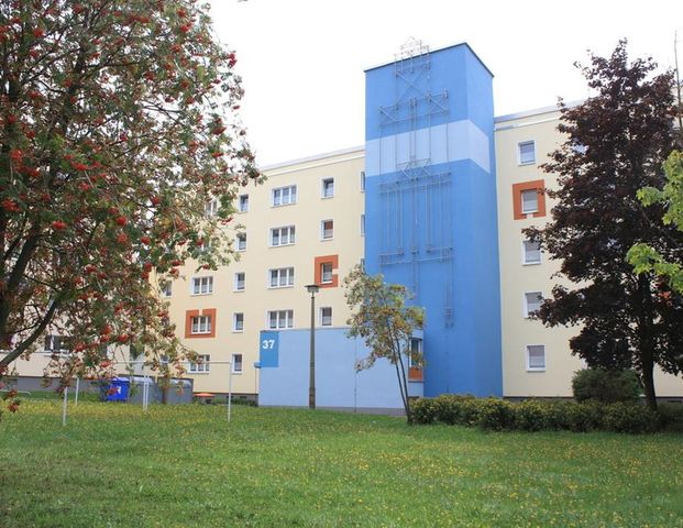 Kleine Balkonwohnung im Chemnitzer Süden - Foto 1