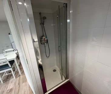 Location Appartement 1 pièce 25m² LILLE 59000 - Photo 6