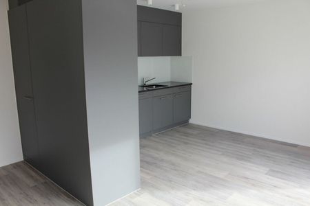 Komplett sanierte Liegenschaft/Wohnungen an zentraler Lage... - Foto 4