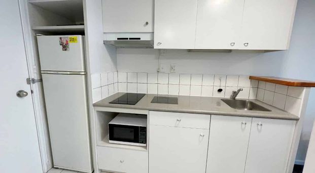Newly renovated studio apartment by Auckland Uni - Photo 1