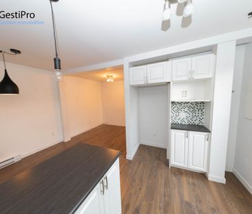 460-470 St-Benoit - Photo 1