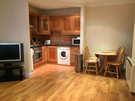 Villa Park Gardens, Blackhorse Ave - Photo 3