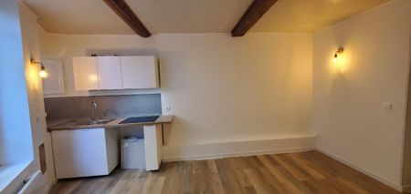Location Appartement 1 pièce 27m² LE VIGAN 30120 - Photo 2