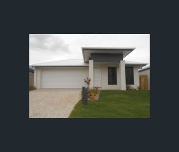 12 Antelope Street, Dakabin, Qld 4503 - Photo 6