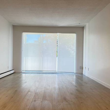 PET FRIENDLY 1B SUITE IN KITSILANO - Photo 1