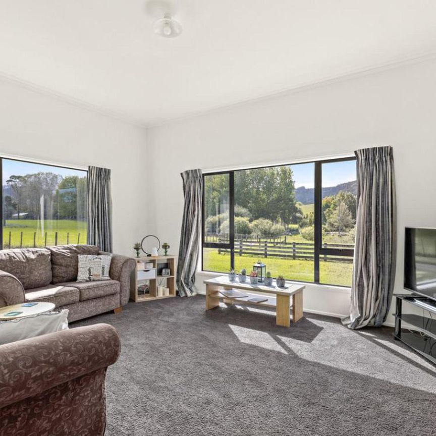 Country home minutes from Matakana Village - Photo 1