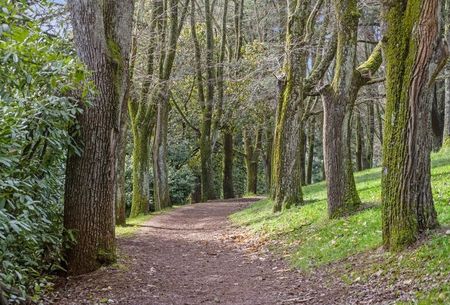 6 Central Springs Rd, Daylesford, VIC 3460 - Photo 4