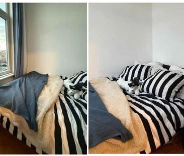 Te huur: Appartement Graaf Lodewijkstraat in Arnhem - Foto 6