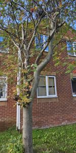 2 bed Flat - To Let - Photo 4