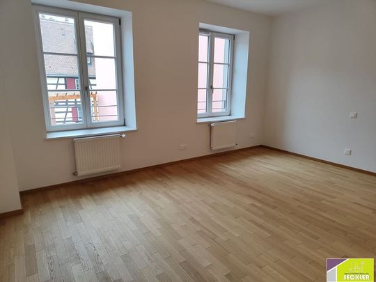 location Appartement 6 pièces à Colmar - REF 1448-IB - Photo 1