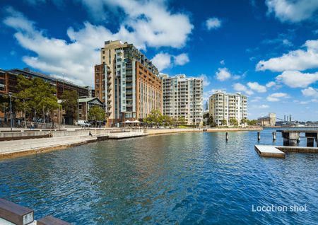 Level12/66 Bowman Street, Pyrmont, NSW 2009 - Photo 5