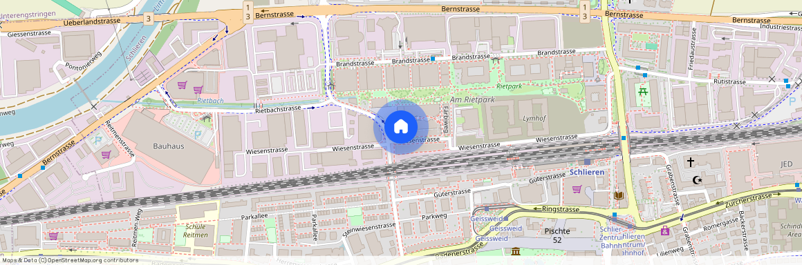 8952, Schlieren, Goldschlägistrasse, 5