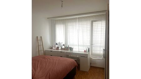 3 Zimmer-Wohnung in Genève - Pâquis/Nations, möbliert, auf Zeit - Photo 2