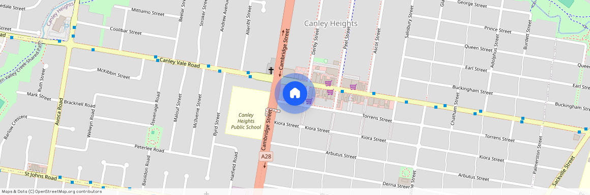 133 Torrens street, NSW 2166, Canley Heights