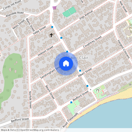 9 Sandringham Street, Saint Clair, Dunedin