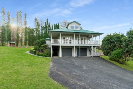 Live the Highlands Lifestyle - Photo 4